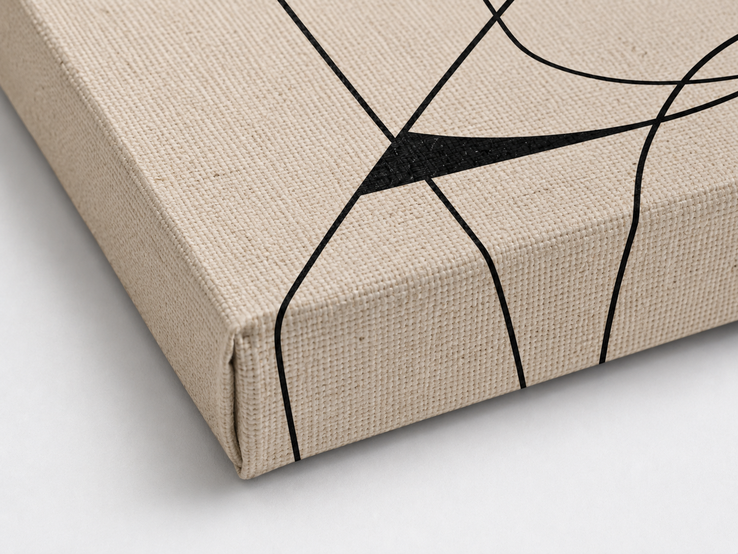 Lienzo Canvas