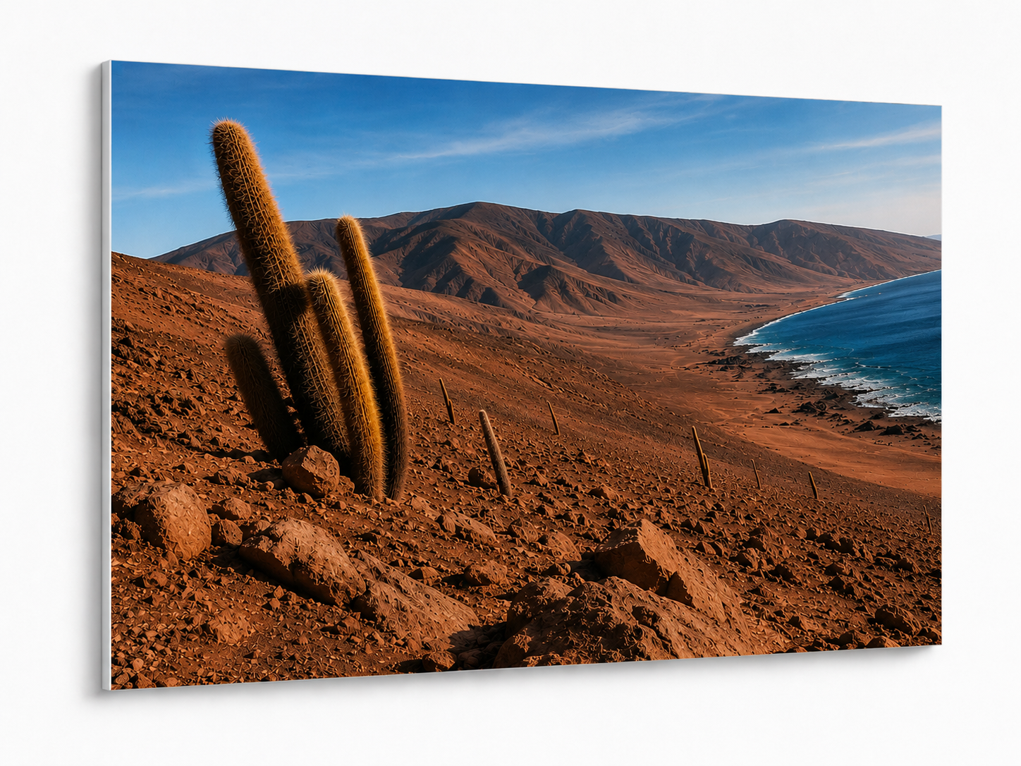 Vista 2