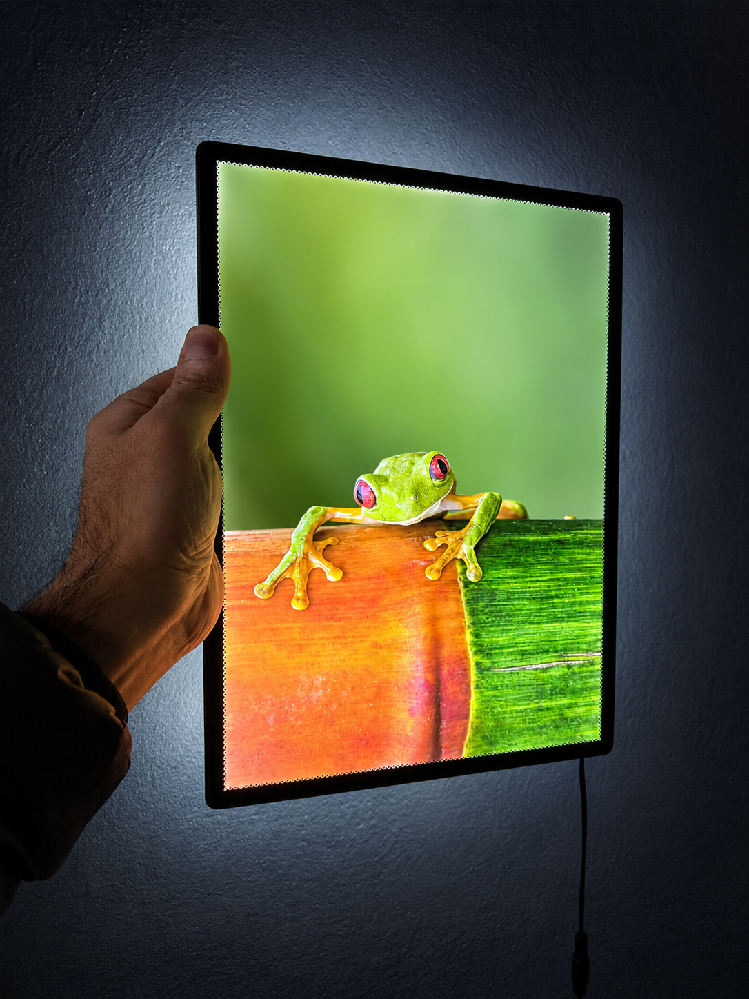 Vista 3