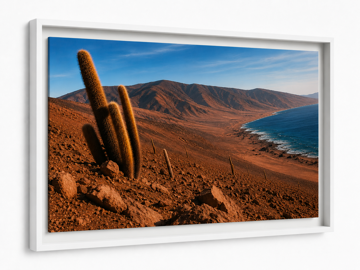 Vista 3